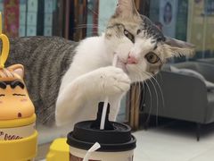 -谜盒子奇幻密室(南屏店)