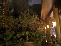 -三亚湾红树林度假世界(木棉酒店)