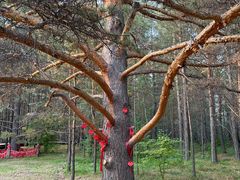 -北极村旅游风景区