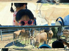 -西安秦岭野生动物园