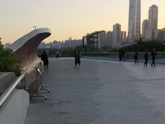 -华润深圳湾体育中心-“春茧” 体育馆