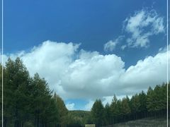 -塞罕坝国家级自然保护区