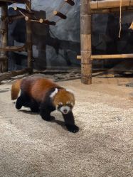 -Zoolung Zoolung动物主题公园(海信广场店)