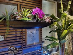 -花间别院(凤凰店)