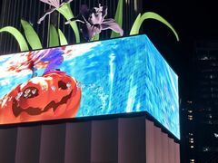 -深圳湾万象城(南山店)