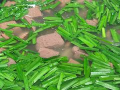 -甘家界牌柠檬鸭(青山店)