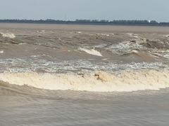 -观潮胜地公园