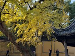 -无锡惠山寺