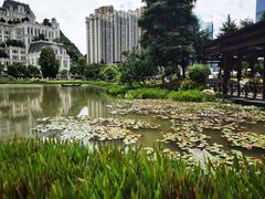 -花果园湿地公园