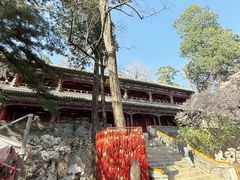 -潭柘寺景区