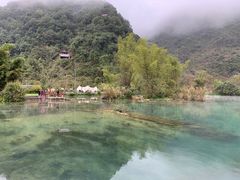 -靖西鹅泉风景区