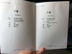 -新加坡航空公司(ION)