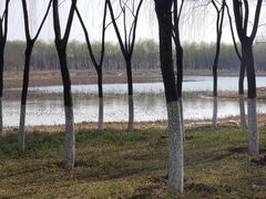 -东郊湿地公园