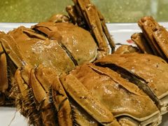 -呼吸森林·生态农庄农家乐私房菜