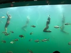 -瑞德姆美人鱼海底演艺主题餐厅(亚龙湾店)