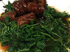 -白玉兰酒店(上海田子坊马当路地铁站店)