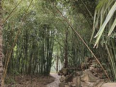 -采石矶景区