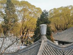 -团结湖公园