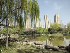 -木塔寺遗址生态公园