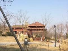 -东海森林温泉度假酒店