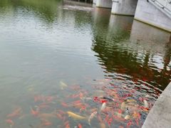 -西海子公园