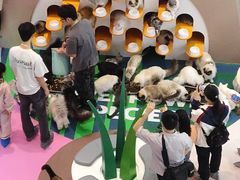 -PO PARK东方宝泰