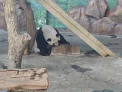 -南宁市动物园
