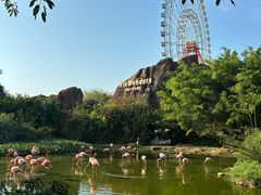 -芽庄珍珠岛游乐园