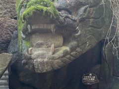 -汤旺河林海奇石景区