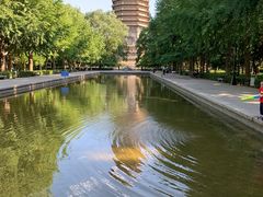 -玲珑塔公园