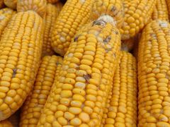 -恒记金煎包(指南里小区店)