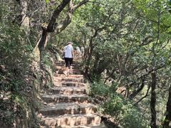 -杭州半山国家森林公园