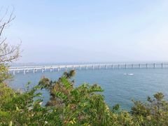 景点-星海湾跨海大桥