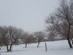 -西拉沐沦大峡谷园区