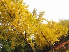 -苏州河梦清园环保主题公园