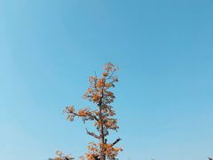 -厦门日月谷温泉渡假村