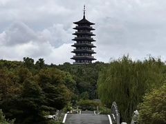 -宜兴龙背山森林公园
