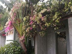 -深圳国际园林花卉博览园