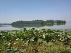 -东湖落雁景区