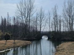 -溱湖国家湿地公园