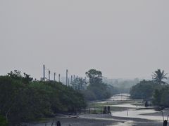 -东寨港红树林旅游区