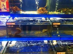 -金鹰超市(国际购物中心新街口店)