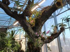 -国家植物园南园