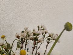 -山由之cafe&meal(小寨店)