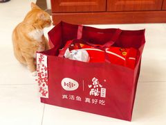 -鱼酷活鱼烤鱼(中联广场店)