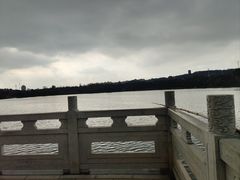 -洛龙公园