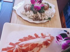 -淼福猪肚鸡·椰子鸡火锅(大沙地店)