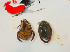 -美未居·老字号·地道顺德菜·桑拿鸡·鱼生(容桂店)