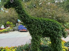 -南山植物园