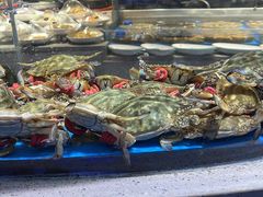 -小螺号海鲜·地道鲁菜(省体总店)